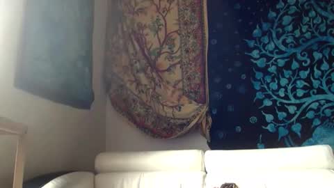 sealomel online show from April 15, 8:43 am