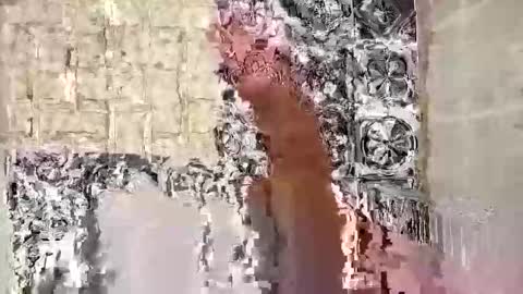 seb97400 online show from February 22, 7:34 pm