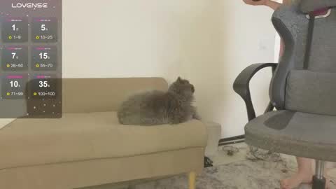 sexy_b0rsch online show from April 18, 5:22 am