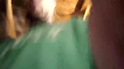    RICHY    online show from April 12, 11:26 am