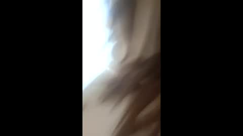 ARIAVALENTINA online show from March 17, 7:23 am