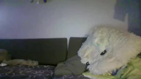shafte1981 online show from June 2, 10:01 pm