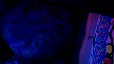 shagz2much online show from January 27, 11:54 am