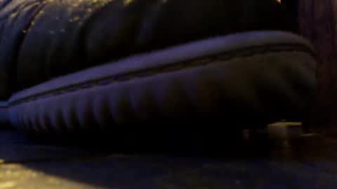 shagz2much online show from March 3, 2:48 pm