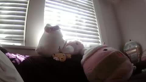 shampooprincess001 online show from March 21, 8:12 pm