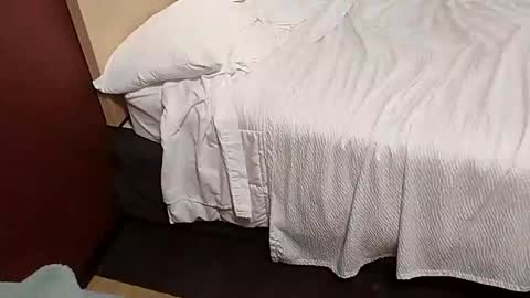 Snapshot of shanegold8266 chatting on January 22, 7:34 pm Shane Phantoms online show from January 22, 7:34 pm