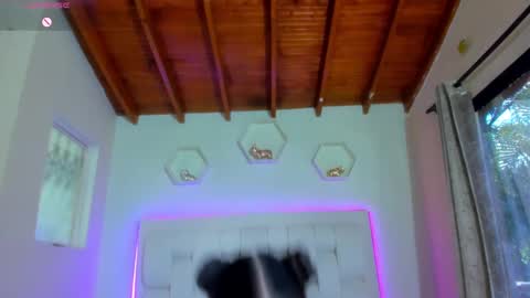 Shana online show from September 15, 2:17 pm