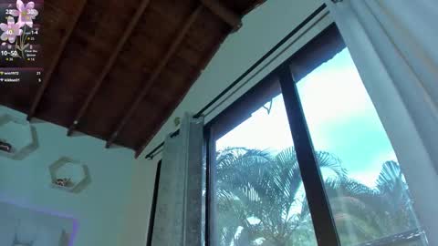 Shana online show from February 24, 4:05 pm