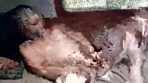 Shamroc online show from March 4, 2:45 pm