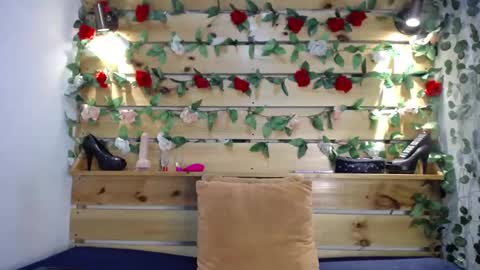 Sharol online show from February 14, 3:00 am