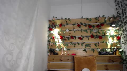 Sharol online show from February 25, 3:31 am