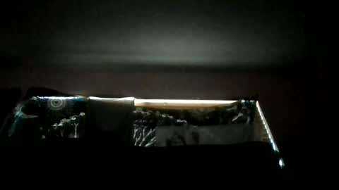 shawty_hung420 online show from June 18, 1:06 am