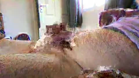 sherlockholmes74 online show from April 2, 3:09 pm