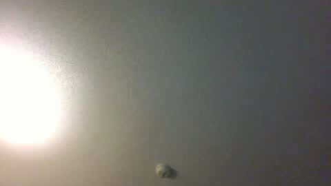 showuthed online show from July 14, 2:38 am
