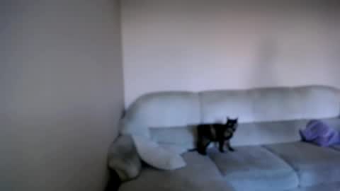 shy_sabrina_ online show from April 26, 3:53 pm