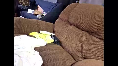 sissyboi124995 online show from April 11, 7:51 pm