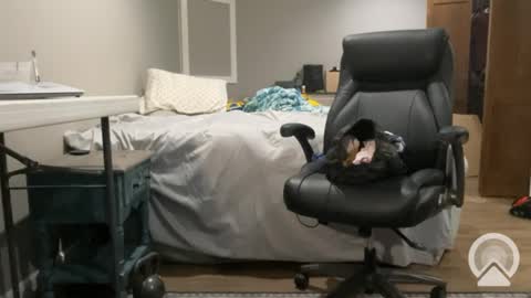 Snapshot of sissyryan3 chatting on January 21, 12:46 am sissyryan3 online show from January 21, 12:46 am