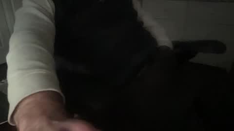 sissytraining2 online show from February 18, 10:25 pm