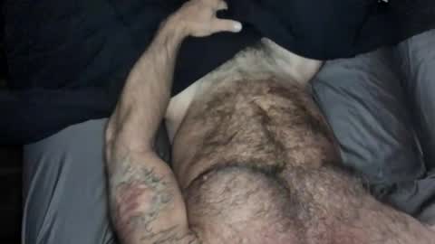 BEEF online show from September 25, 8:51 am