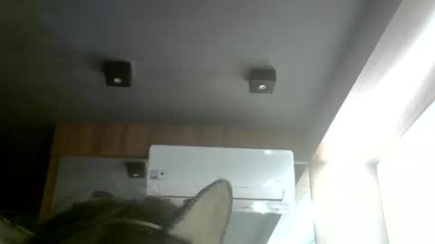 skinnykittencam online show from May 31, 8:21 pm