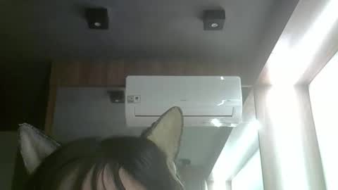 skinnykittencam online show from June 3, 5:21 am
