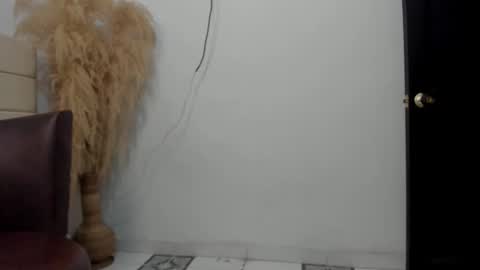 Snapshot of sky_dancer chatting on December 22, 2:14 pm Reuben online show from December 22, 2:14 pm