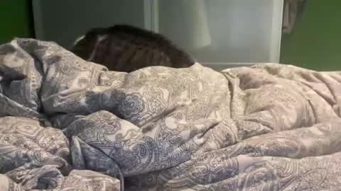 slice5 online show from December 21, 9:49 am