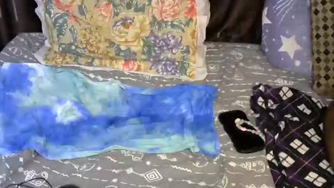 slim_me online show from May 7, 7:36 am