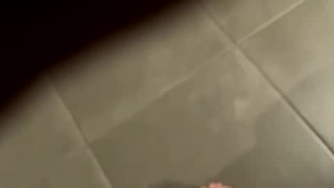 Snapshot of slimlord90 chatting on January 25, 1:08 pm slimlord90 online show from January 25, 1:08 pm