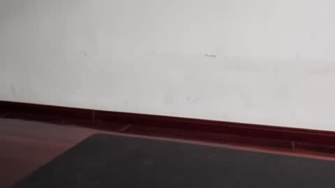 Snapshot of slutfactor chatting on March 31, 6:36 am slutfactor online show from March 31, 6:36 am