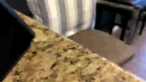 Peter Johnson online show from July 16, 6:47 pm