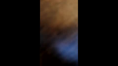 watchmecum online show from December 4, 4:59 pm