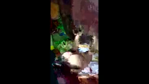 snqhephncxpu online show from April 14, 3:01 am