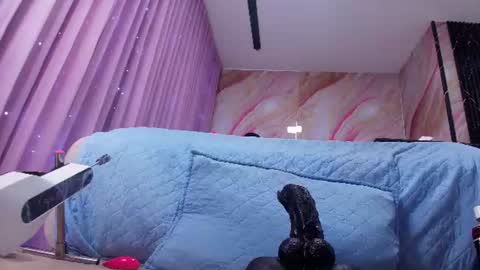 Sofia online show from June 19, 3:11 am