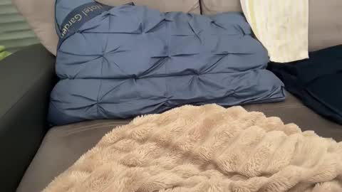 Snapshot of sombre_sdelices chatting on February 28, 11:11 am Tayla online show from February 28, 11:11 am