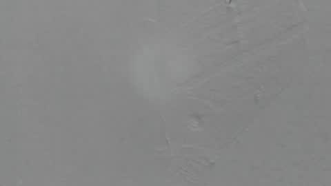 Snapshot of sophia_ebony___ chatting on February 8, 1:14 pm sophia_ebony___ online show from February 8, 1:14 pm