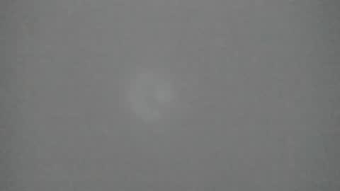 Snapshot of sophia_ebony___ chatting on February 10, 12:31 pm sophia_ebony___ online show from February 10, 12:31 pm