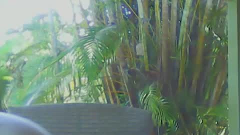 soveryhandsome online show from April 12, 6:40 am