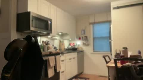 Spacecow Whore online show from July 28, 7:39 pm