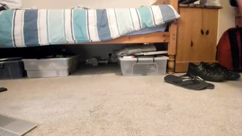 Sportyguy283 online show from January 18, 9:18 pm