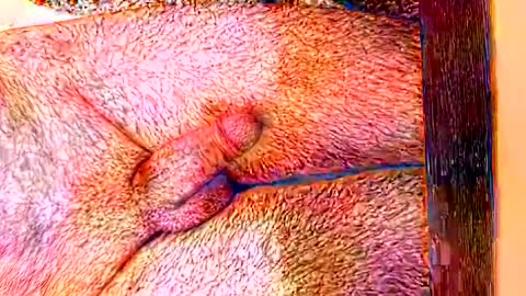 Snapshot of sprayx chatting on February 8, 11:35 am sprayx online show from February 8, 11:35 am