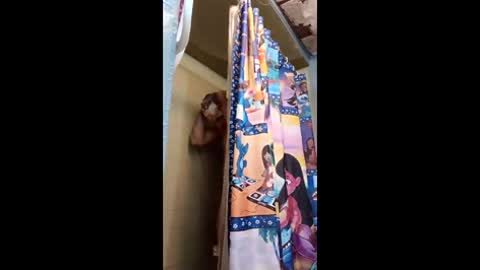 squierellis4979409 online show from June 7, 5:27 pm