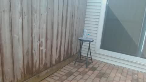 srtxshow online show from October 25, 4:46 pm