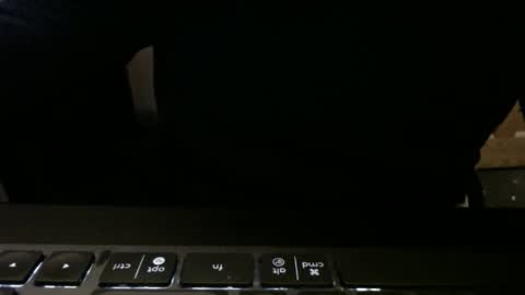 stargazer1069 online show from November 13, 9:52 am