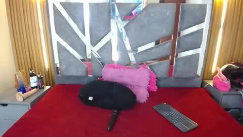 Snapshot of stefanvix202 chatting on December 18, 5:24 am Stefan online show from December 18, 5:24 am