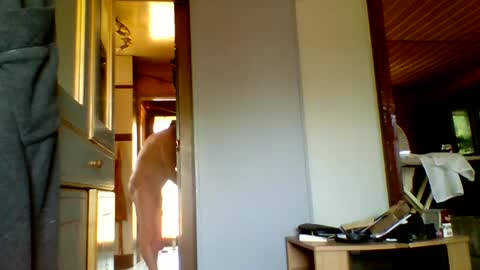Snapshot of stevefromfrance chatting on July 20, 8:50 am stevefromfrance online show from July 20, 8:50 am