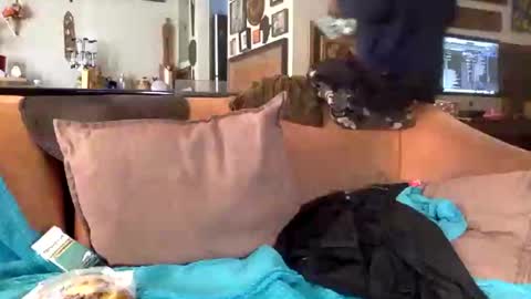 STEVE CASHMASTER 1comedia online show from February 25, 8:51 pm