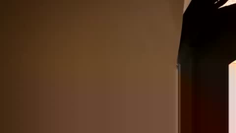 Oval2022 online show from December 5, 8:55 pm