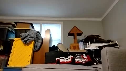 Streetwyze online show from October 25, 12:34 pm