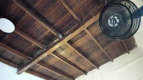 Alexa   online show from March 25, 11:05 am